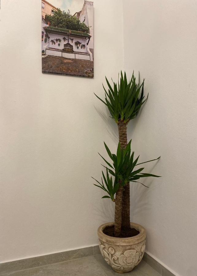 Suites Benalup Centro Zewnętrze zdjęcie